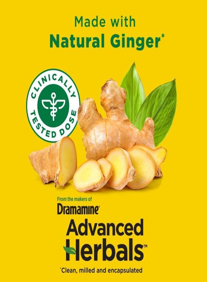 درامامين كبسولات درامين الطبيعية غير المسببة للنعاس مع الزنجبيل لتخفيف دوار الحركة - 18 قرصًا (عبوة من 6 أقراص) - Image 4